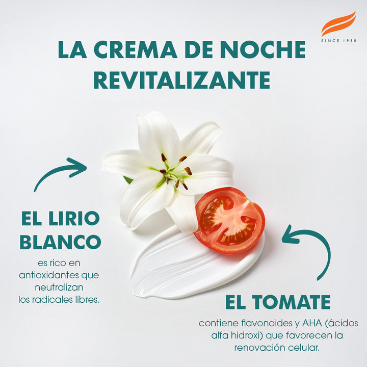 Crema de noche revitalizante