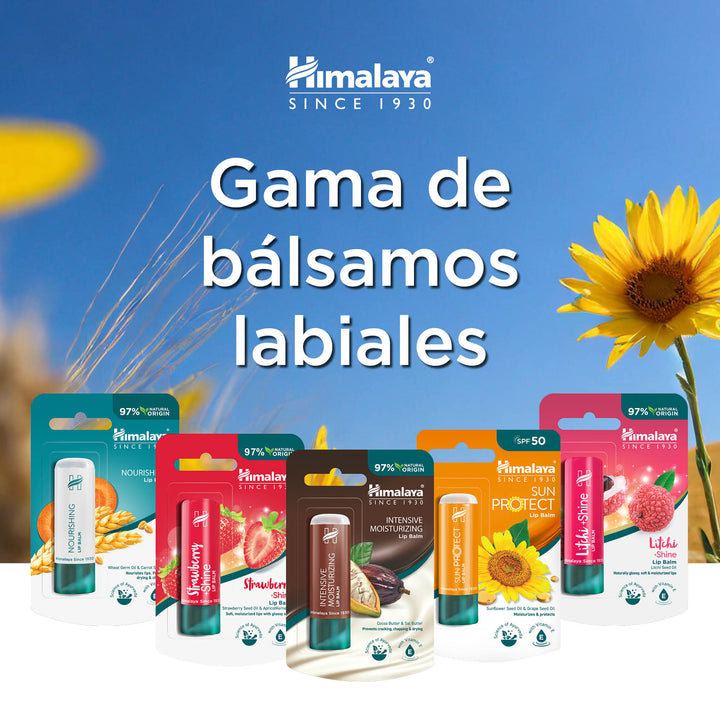 Himalaya Bálsamo labial Sun Protect (SPF 50), 4.5 g