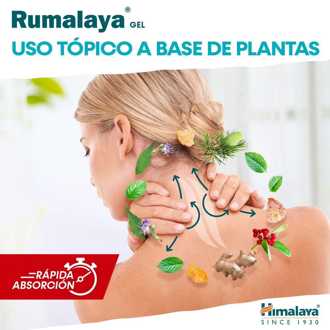 Rumalaya gel 50g