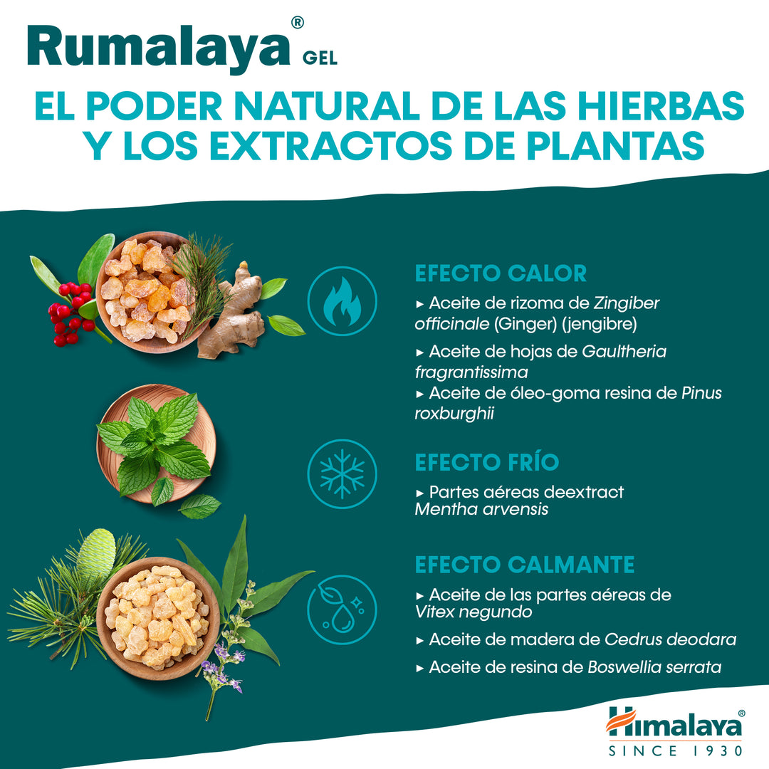 Rumalaya gel 50g