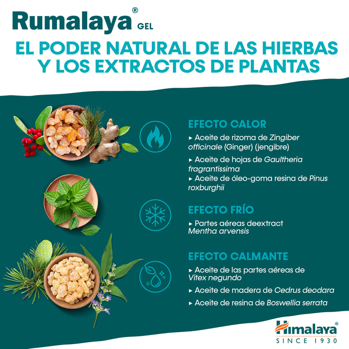 Rumalaya gel 50g