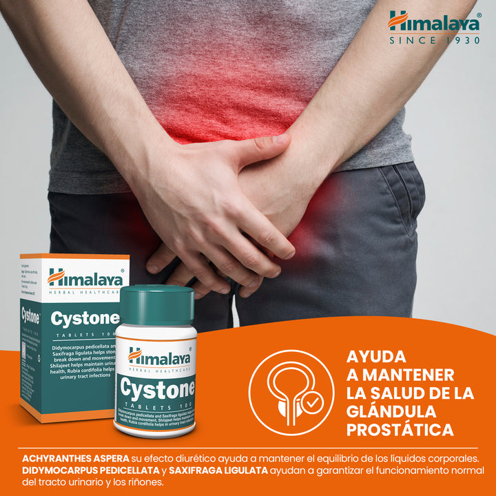 Cystone