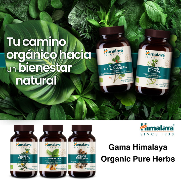 Himalaya Turmeric 95 (Curcuma)